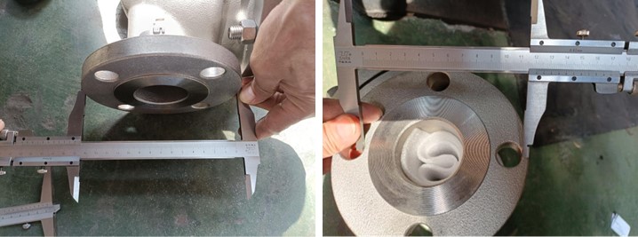 Stainless Steel Swing Check Valve