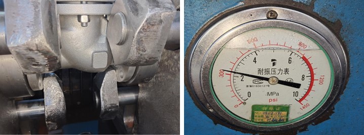 Stainless Steel Swing Check Valve