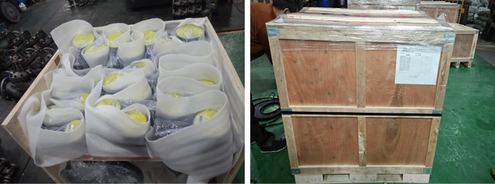 Bellows Sealed Globe Valve