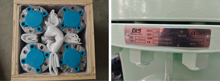 Axial Flow Check Valve