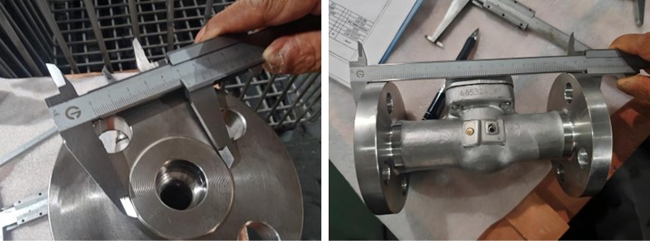 Lift Type Swing Valve 