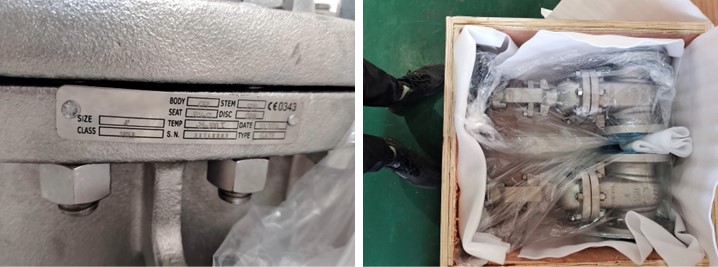 Stainless Steel Gate Valve