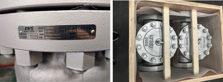 Cast Steel Swing Check Valve