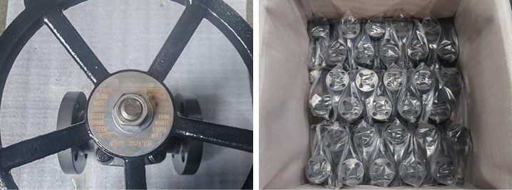 Forged Steel Globe Valve