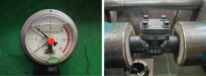 Forged Steel Swing Check Valve