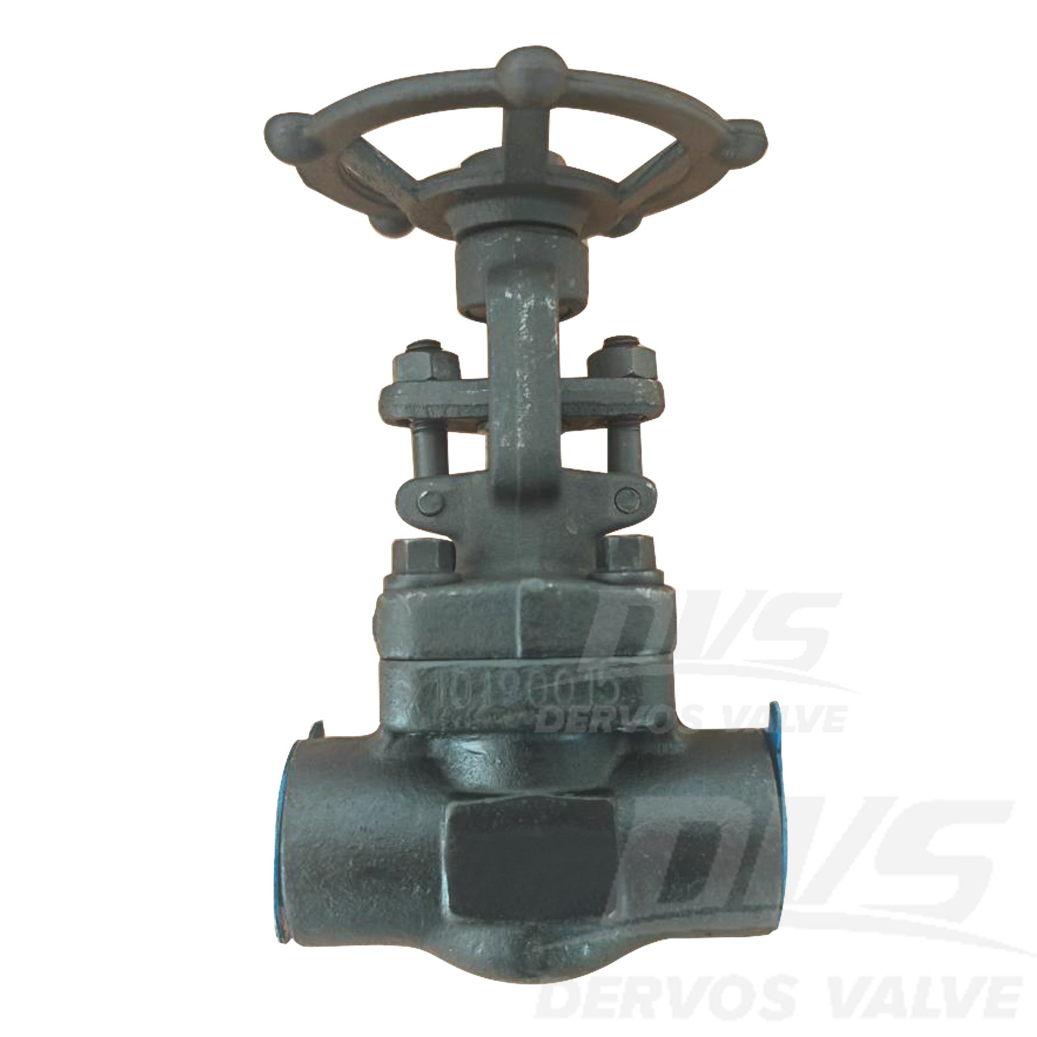 Forged Steel Gate Valve 1" 800LB A105N FNPT