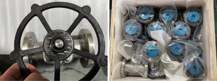 Forged Steel Gate Valve