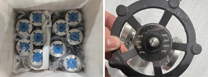 Forged Stainless Steel Gate Valve