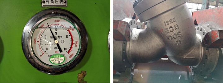 Y Type Strainer