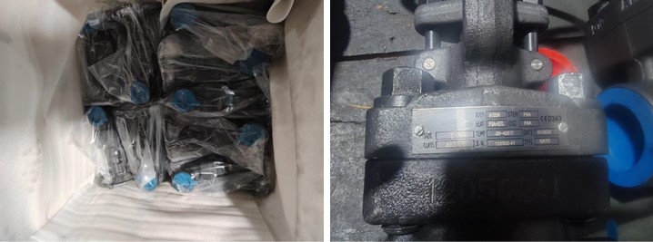Forged Steel Gate Valve