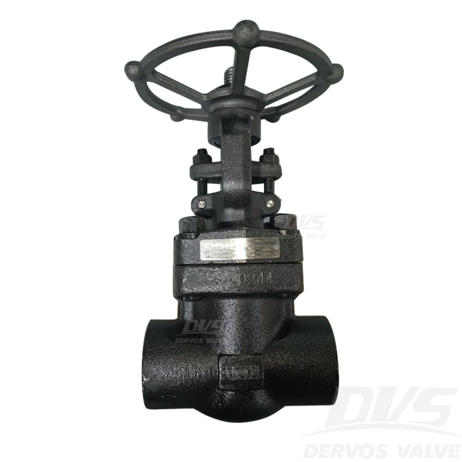 Forged Steel Gate Valve 2" 800LB ASTM A105N FNPT