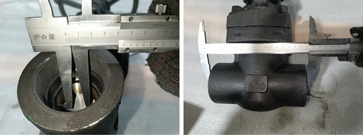 Forged Steel Gate Valve
