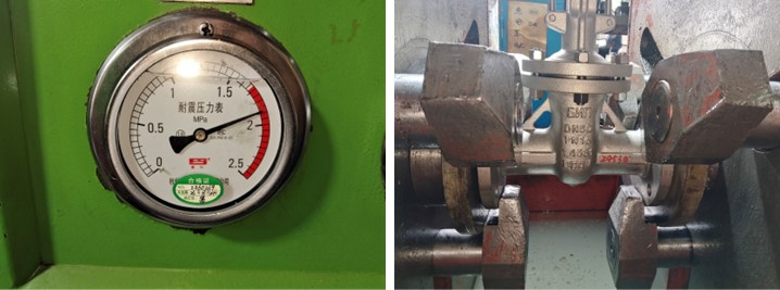 Cast Stainless Steel Gate Valve